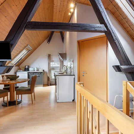 Ferienwohnung An Der Brigach Donaueschingen Dış mekan fotoğraf