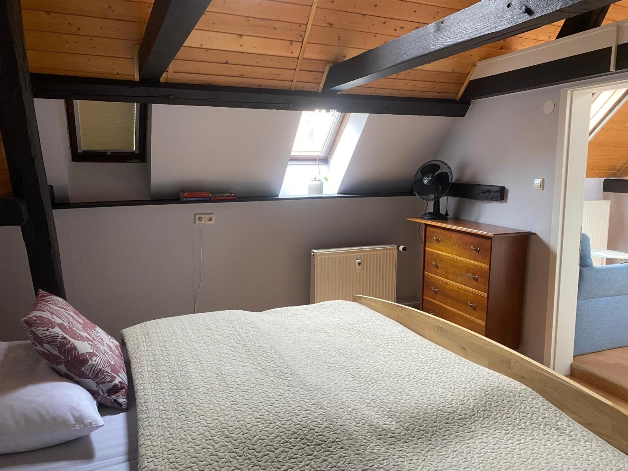 Ferienwohnung An Der Brigach Donaueschingen Dış mekan fotoğraf