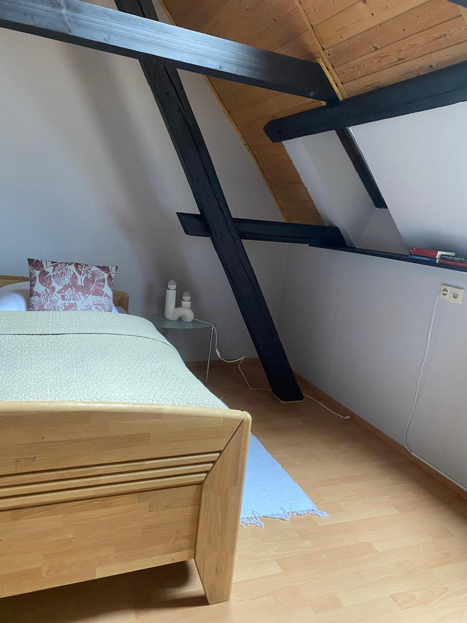 Ferienwohnung An Der Brigach Donaueschingen Dış mekan fotoğraf