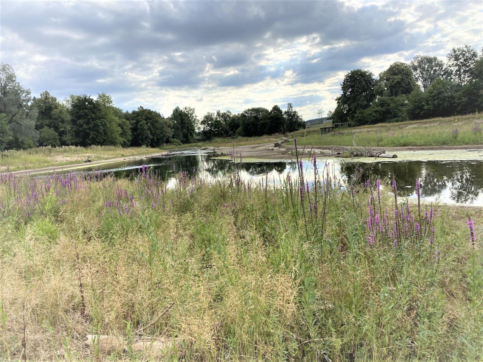 Ferienwohnung An Der Brigach Donaueschingen Dış mekan fotoğraf