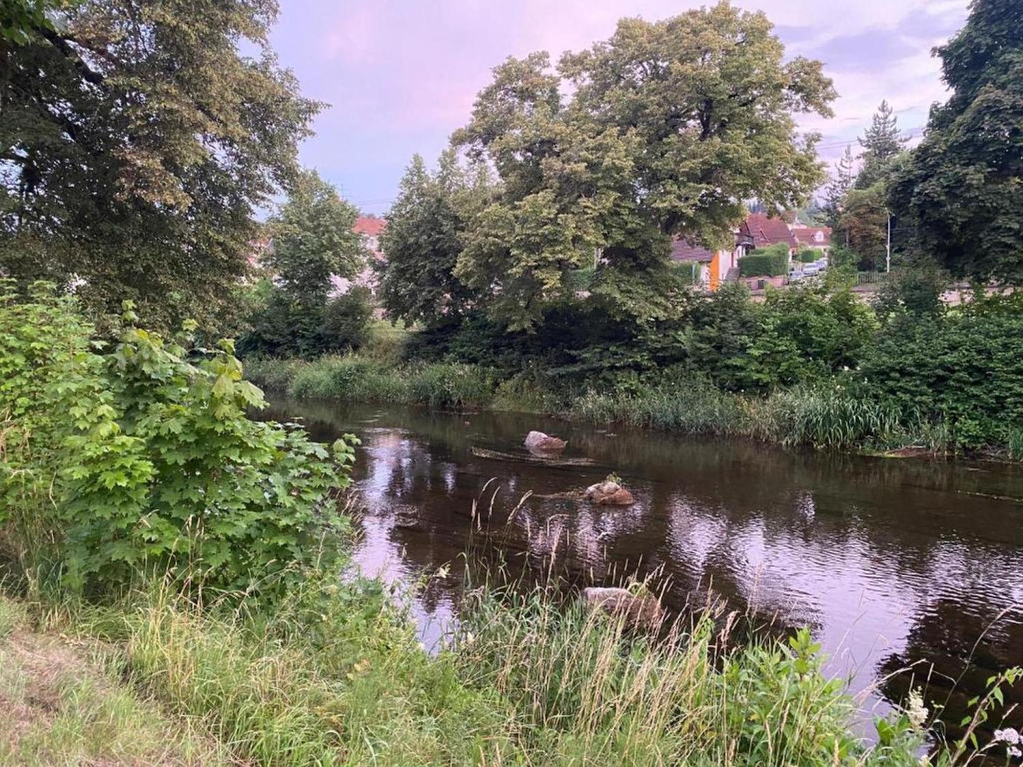 Ferienwohnung An Der Brigach Donaueschingen Dış mekan fotoğraf
