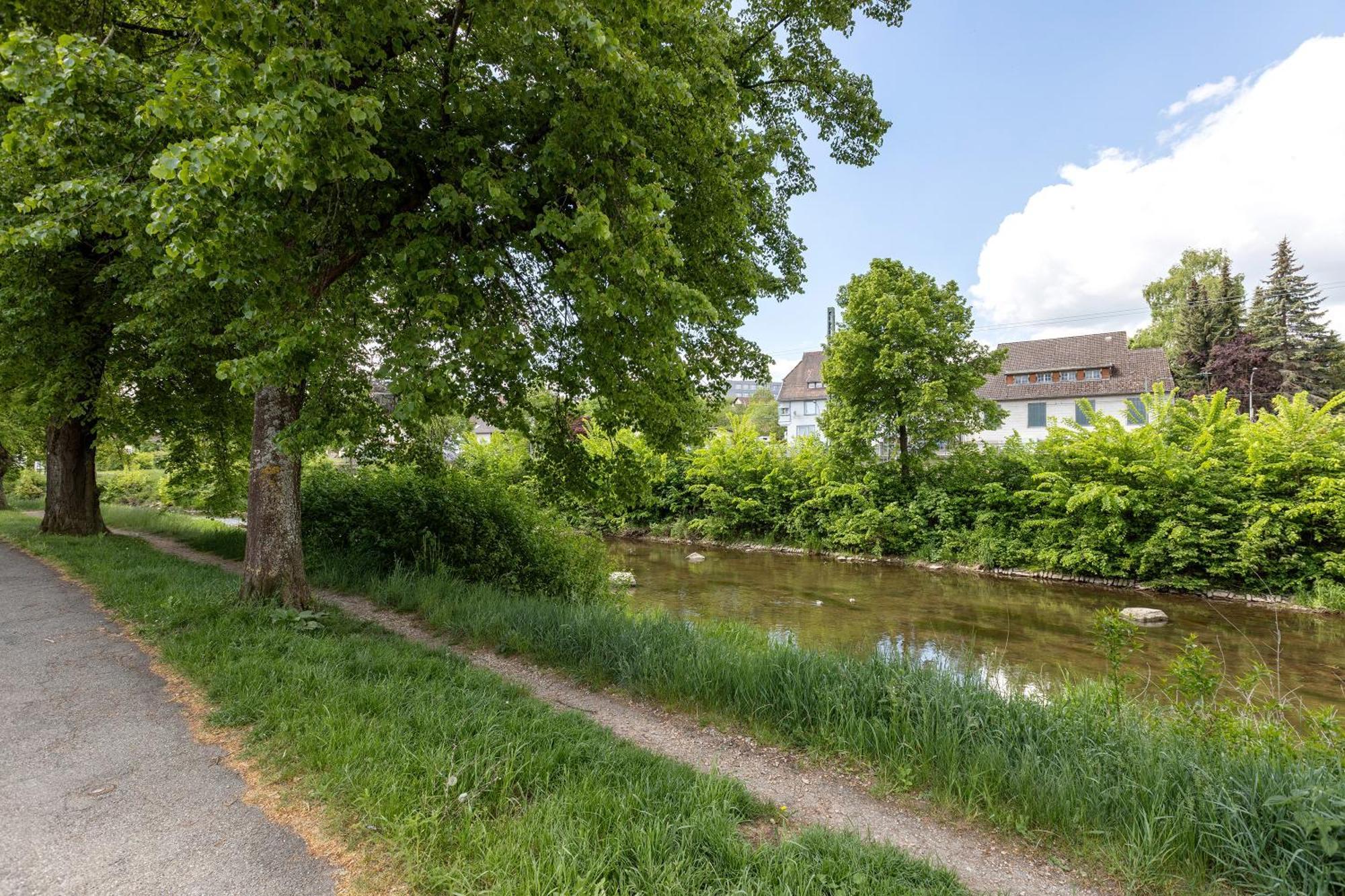 Ferienwohnung An Der Brigach Donaueschingen Dış mekan fotoğraf