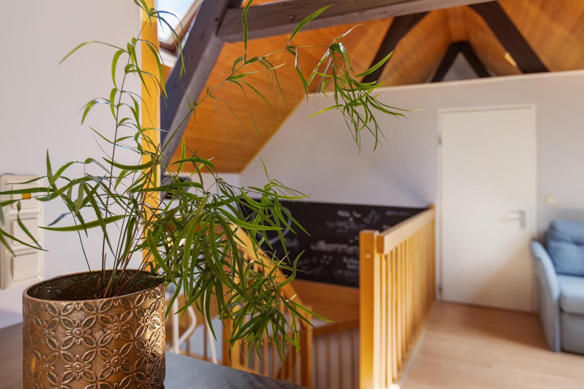 Ferienwohnung An Der Brigach Donaueschingen Dış mekan fotoğraf
